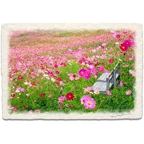 7171l+07h0L._AC_UL210_SR210,